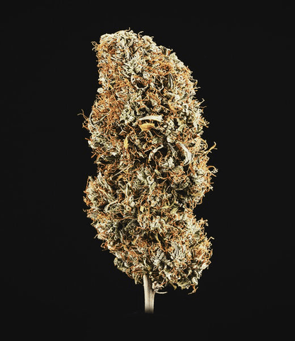 Cookies Gelato Auto - Gas Station