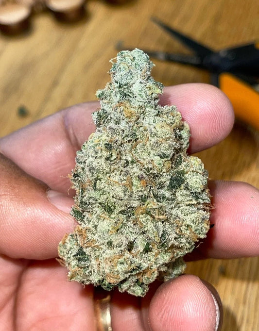 Crystal Cookies V2 (ANIMAL COOKIES X PLATINUM) 6 - Pack - Gas Station