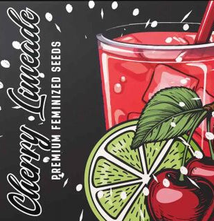 Cherry Limeade (Lime Sickle x Lemon Cherry Gelato) 6 seeds