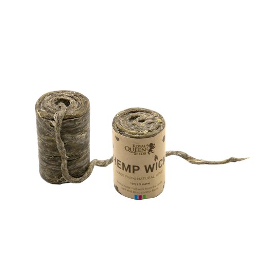 Hemp Wick Royal Queen Seeds
