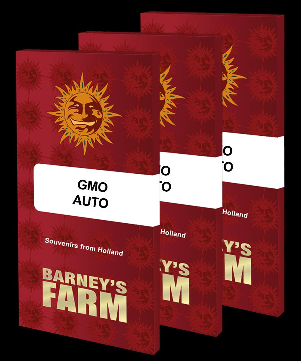 GMO Auto - Gas Station