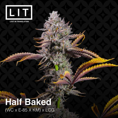 Half Backed [(WC x E - 85 x KM) x Lemon Cherry Gelato] 6 - Pack - Gas Station