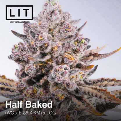 Half Backed [(WC x E - 85 x KM) x Lemon Cherry Gelato] 6 - Pack - Gas Station