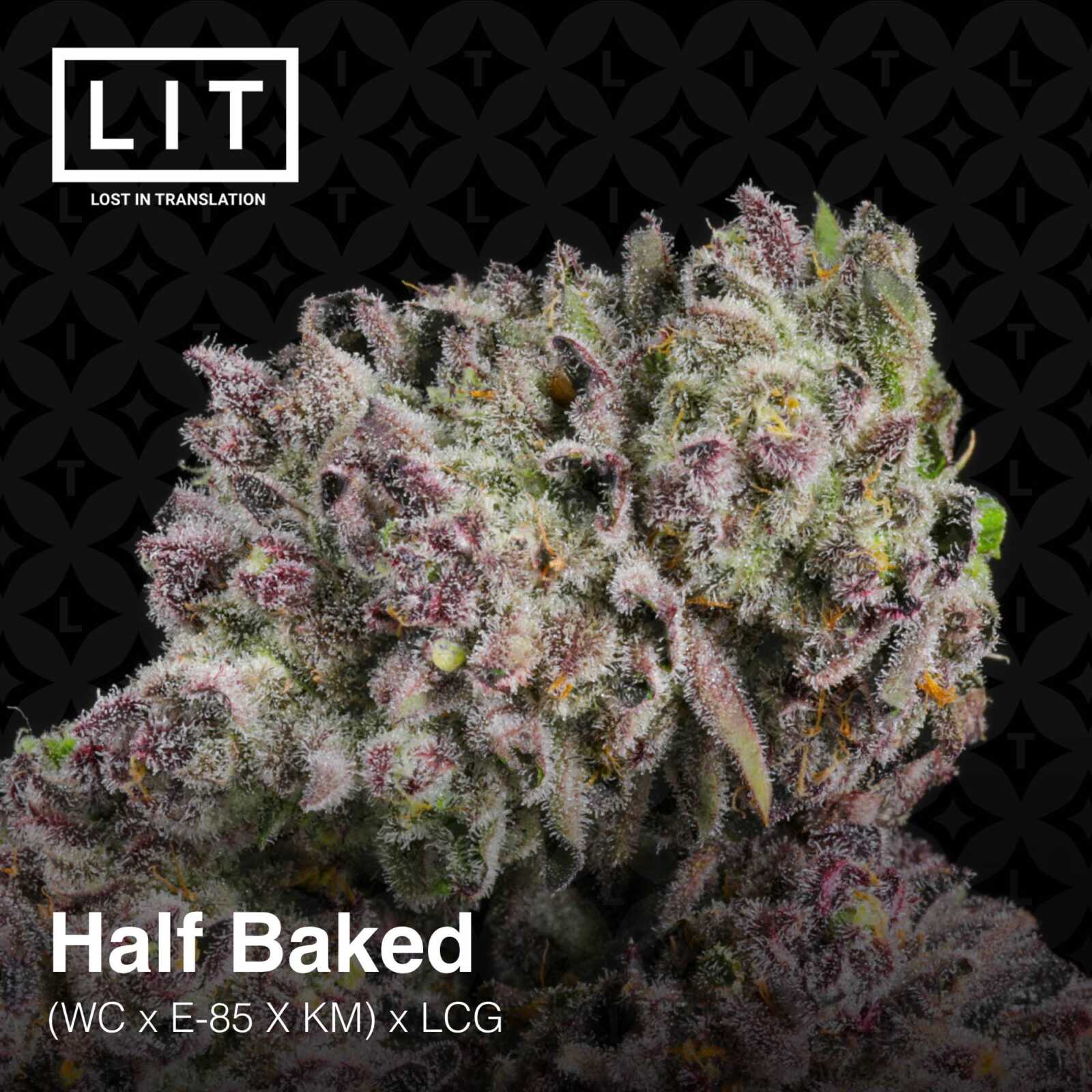 Half Backed [(WC x E - 85 x KM) x Lemon Cherry Gelato] 6 - Pack - Gas Station