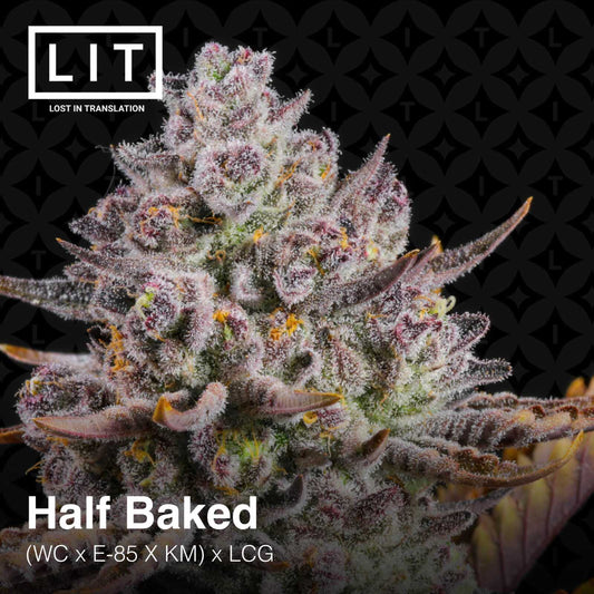 Half Backed [(WC x E - 85 x KM) x Lemon Cherry Gelato] 6 - Pack - Gas Station