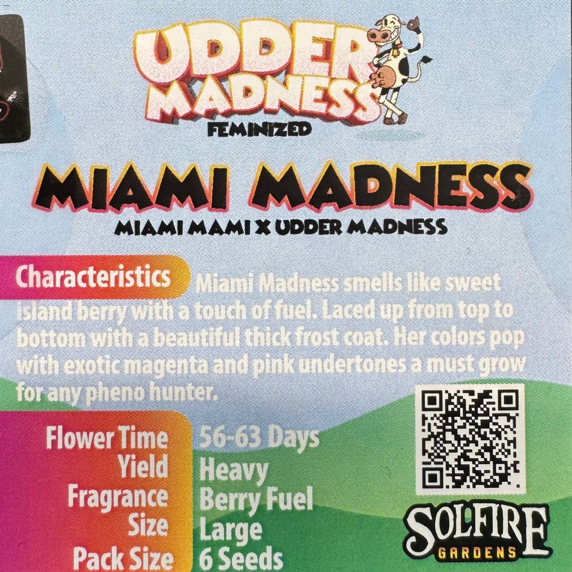 Miami Madness 6 - Pack (Miami Mami x Udder Madness) - Gas Station