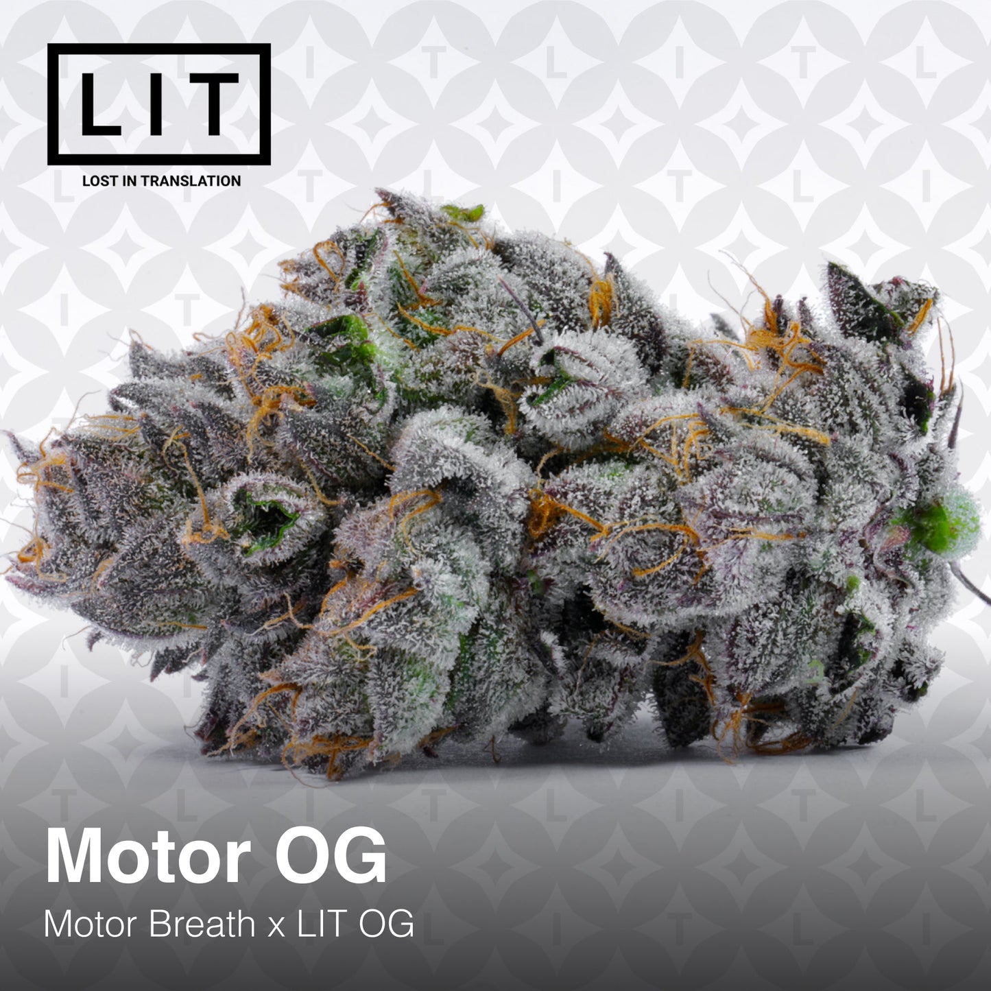 Motor OG (Motor Breath x LIT OG) 6 - Pack - Gas Station