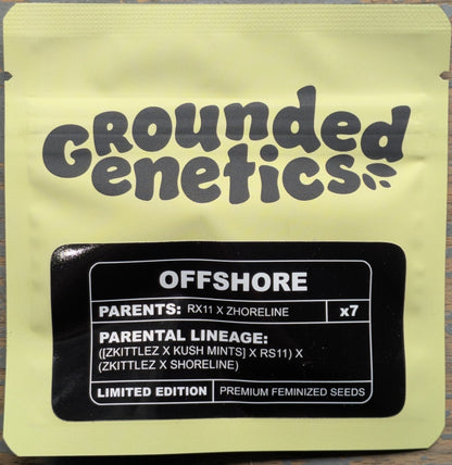 Offshore (RX11 x Zhoreline) 7 - Pack + 3 Freebies Pink Poochie - Gas Station