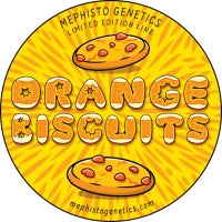 Orange Biscuits (FORUM STOMPER X ORANGE DIESEL) 3-Pack