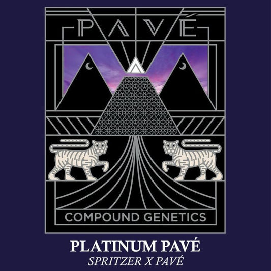 Platinum Pavé 7+1 - Gas Station
