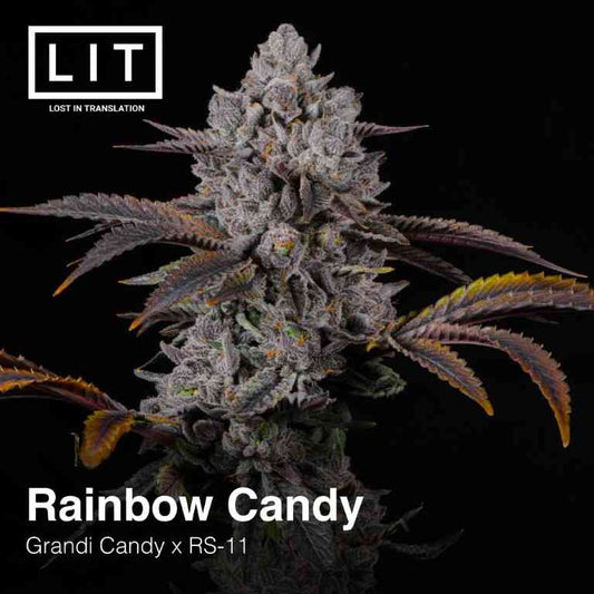 Rainbow Candy (Grandi Candy x RS11) 6 - Pack - Gas Station