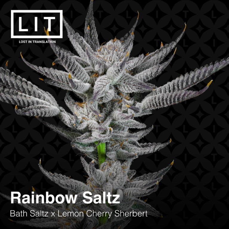 Rainbow Saltz (Bath Saltz x Lemon Cherry Sherbert) 6 - Pack - Gas Station