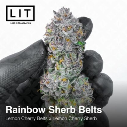 Rainbow Sherb Belts (Lemon Cherry Belts x Lemon Cherry Sherbert) 6 - Pack - Gas Station