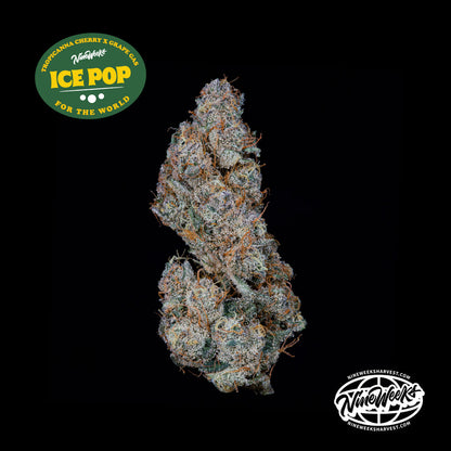 Ice Pop (Trop Cherry x Grape Gas) 3-Pack