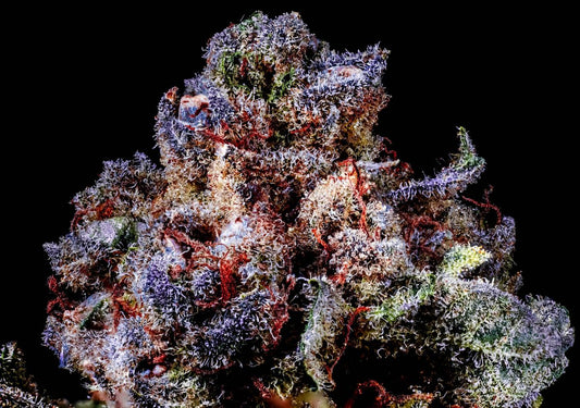 Rainbow Sherbert #11 (RS-11) S1