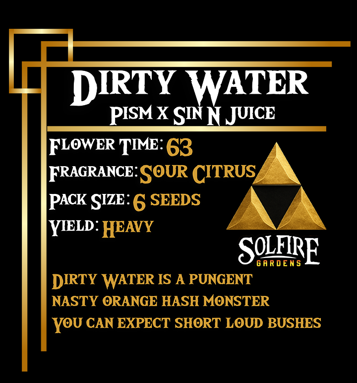 Dirty Water (Prism x Sin n' Juice) 3 seeds