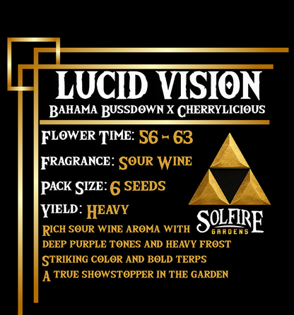 Lucid Vision (Bahama Bussdown x Cherrylicious) 3 seeds