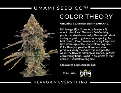COLOR THEORY (Z (Unknown) × (Strawberry Banana × Z))