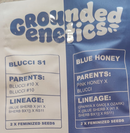 SOUR BLUCCI (Sour D x RS11) x Blucci 7-Pack + 2 Blucci S1 + 2 Blue Honey
