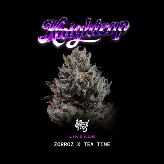 Knightcap (Zorroz x Tea Time) 3-Pack