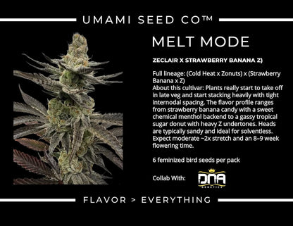 MELT MODE (Zeclair (Cold Heat × Zonutts) × (Strawberry Banana × Z)) 6 seeds + 3 Sour Diesel x Zoda