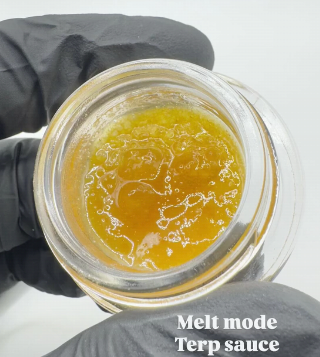 MELT MODE (Zeclair (Cold Heat × Zonutts) × (Strawberry Banana × Z)) 6 seeds + 3 Sour Diesel x Zoda