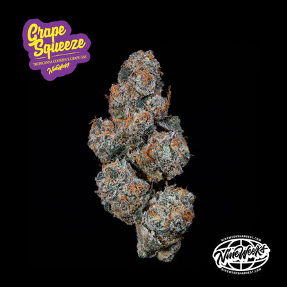 Grape Squeeze (Tropicanna Cookies x Grape Gas) 3-Pack