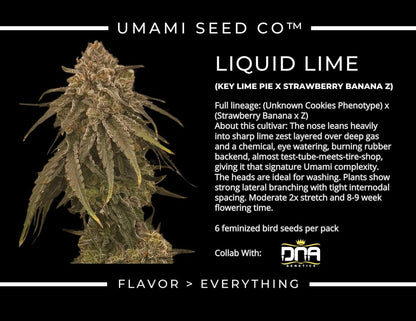 LIQUID LIME (Key Lime Pie (Unknown Cookies phenotype) × (Strawberry Banana × Z)) 6 seeds + 3 Sour Diesel x Zoda