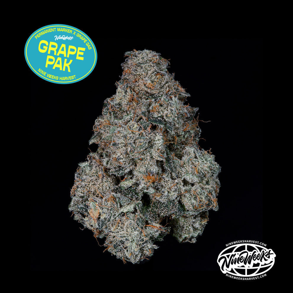 Grape Pak (Permanent Marker x Grape Gas) 3-Pack
