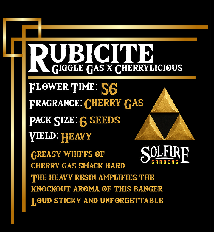Rubicite (Giggle Gas x Cherrylicious) 3 seeds
