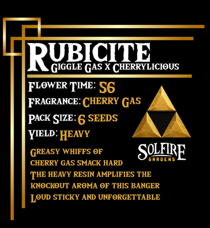 Rubicite (Giggle Gas x Cherrylicious) 3 seeds