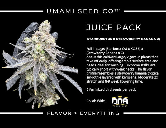 JUICE PACK (Starburst 36 (Starburst OG × KC 36) × (Strawberry Banana × Z)) 6 seeds + 3 Sour Diesel x Zoda