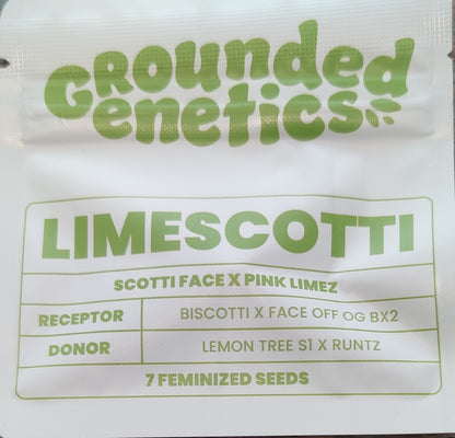 Limescotti (Scoti Face x Pink Limez) 7-Pack + 2 Blucci S1 + 2 Blue Honey