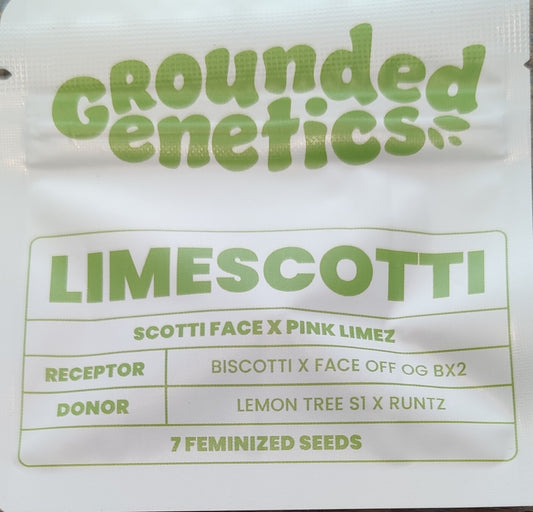 Limescotti (Scoti Face x Pink Limez) 7-Pack + 2 Blucci S1 + 2 Blue Honey