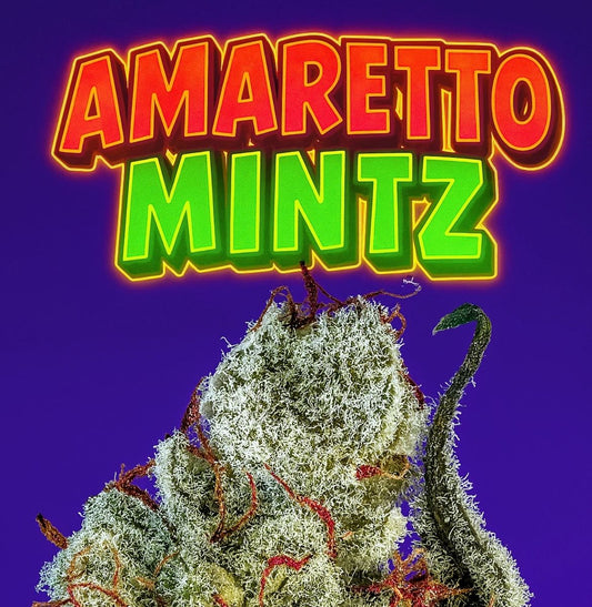 Ameretto Mintz s1 (Amaretto Sour x Animal Mintz BX1) 10-Pack