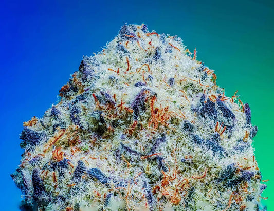Blue Berry Sprinklez (Blue Berry Pancakes x Sprinklez) 10-Pack