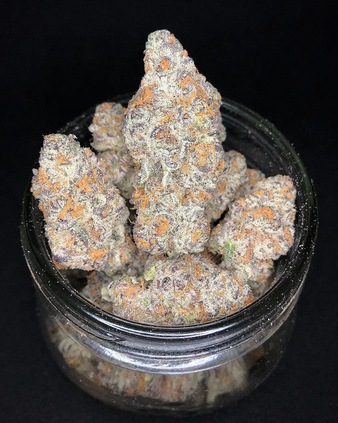 Slurricane (DoSiDos x Purple Punch) 6 - Pack - Gas Station