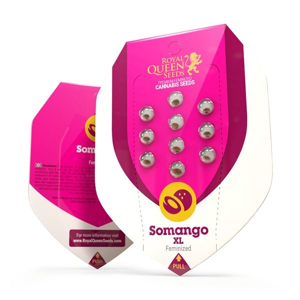 Somango XL - Gas Station