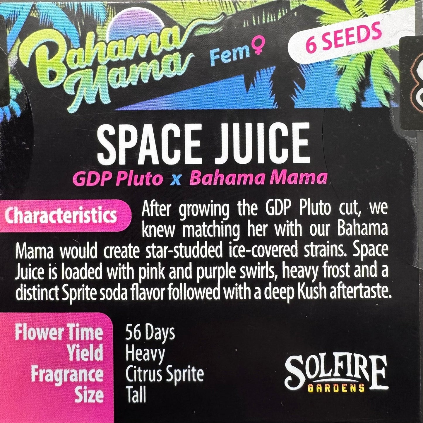 Space Juice 6 - Pack (GDP Pluto x Bahama Mama) + 3x Section A (Apple Fritter x Hood Candyz) Fems - Gas Station