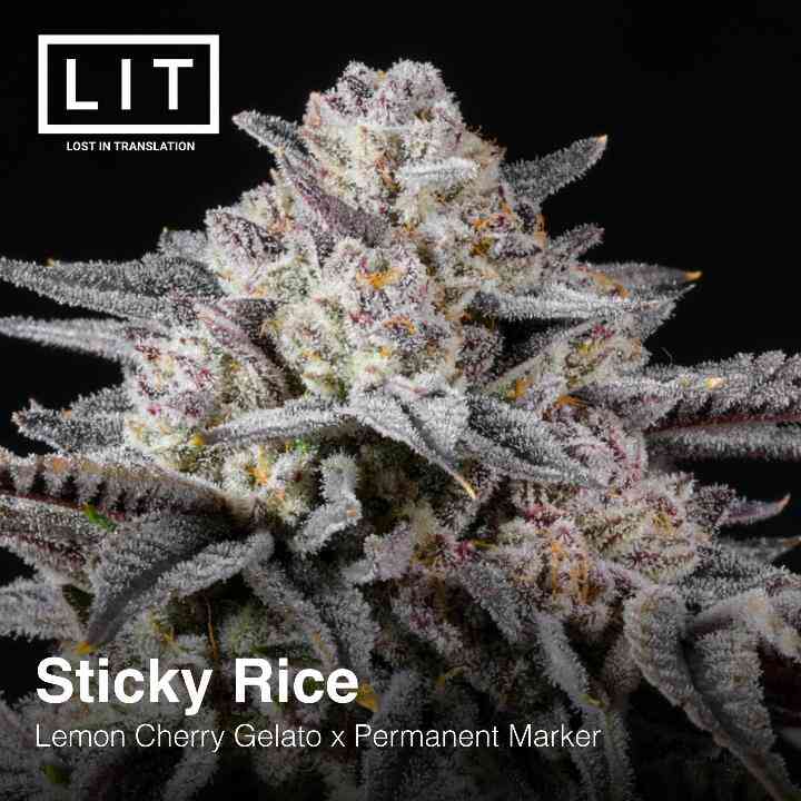 Sticky Rice (Lemon Cherry Gelato x Permanent Marker) 6 - Pack - Gas Station