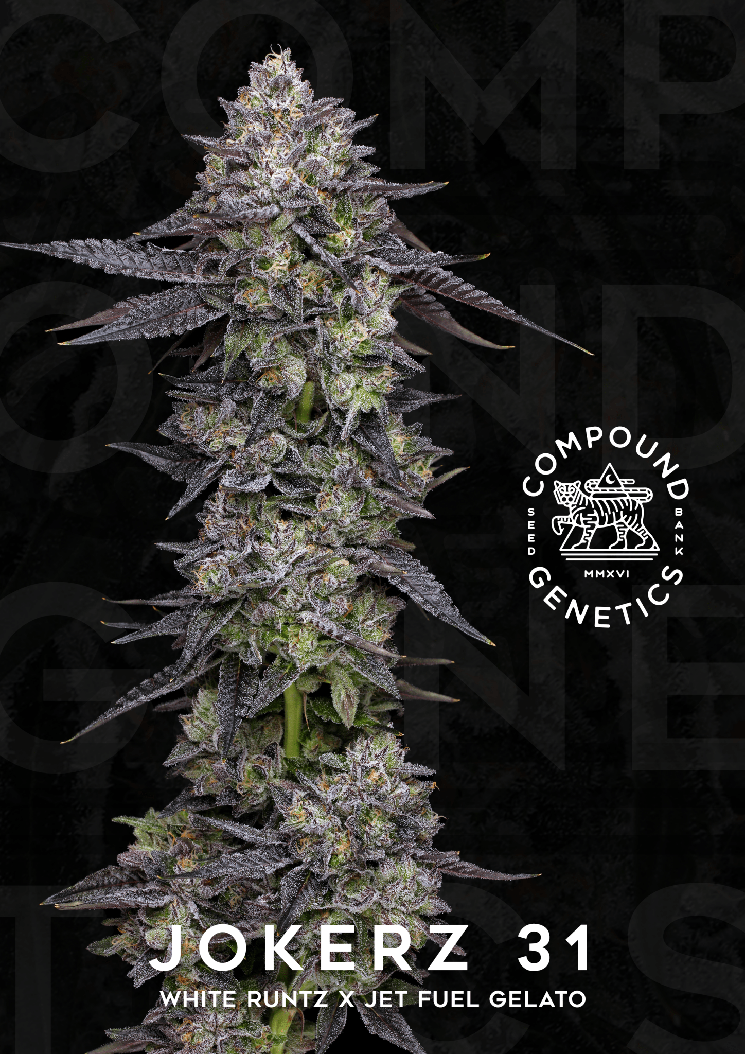 Strawberry Skrilla (Red Pop x Jokerz #31) 7 - pack - Gas Station