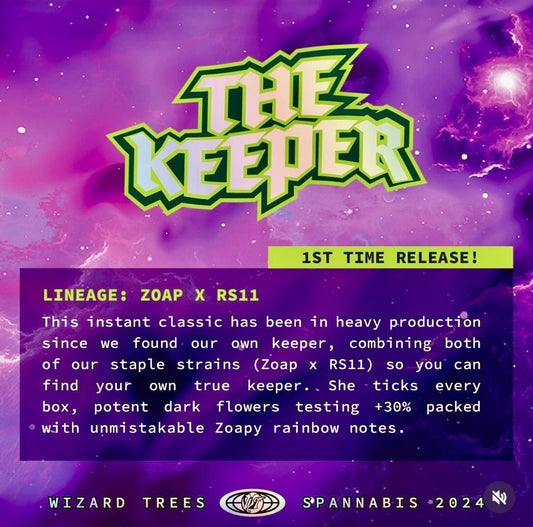 THE KEEPER (ZOAP x RS11) 7 - Pack FEM - Gas Station