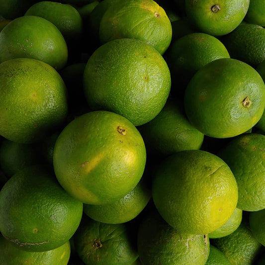Tahiti Lime ((Dosidos x Zkittles #25) x Lemon & Lime) 6-Pack (FEM)