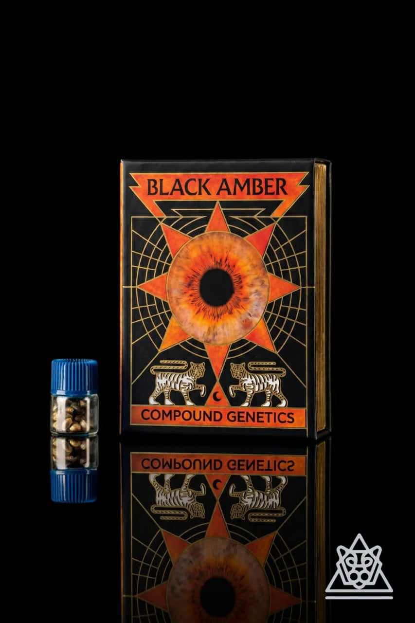 Nakamarra (Pink Certz x Black Amber) 3 seeds