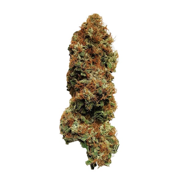 White Widow - Gas Station