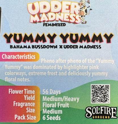 Yummy Yummy 6 - Pack (Bahama Bussdown x Udder Madness) - Gas Station
