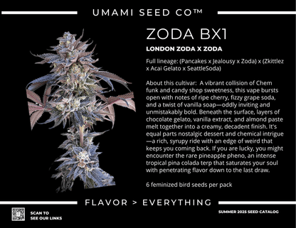 Zoda Bx1 (London Jellyz x Zoda) 6-pack + 3 Sour D x Zoda